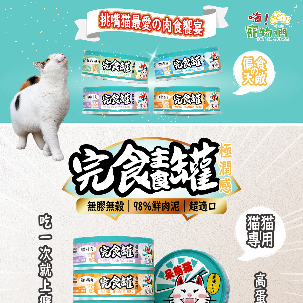 萌猫 猫儿这个萌/#小猫