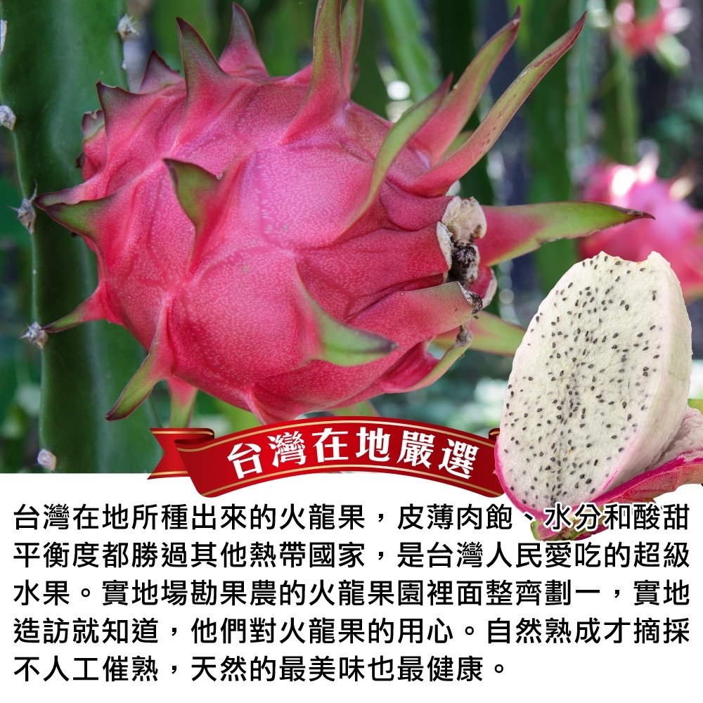 文玩堂：爆肉粗筋龍脊碧根果 文玩堂：爆肉粗筋龍脊碧根果 碧根果- 優惠推薦-
