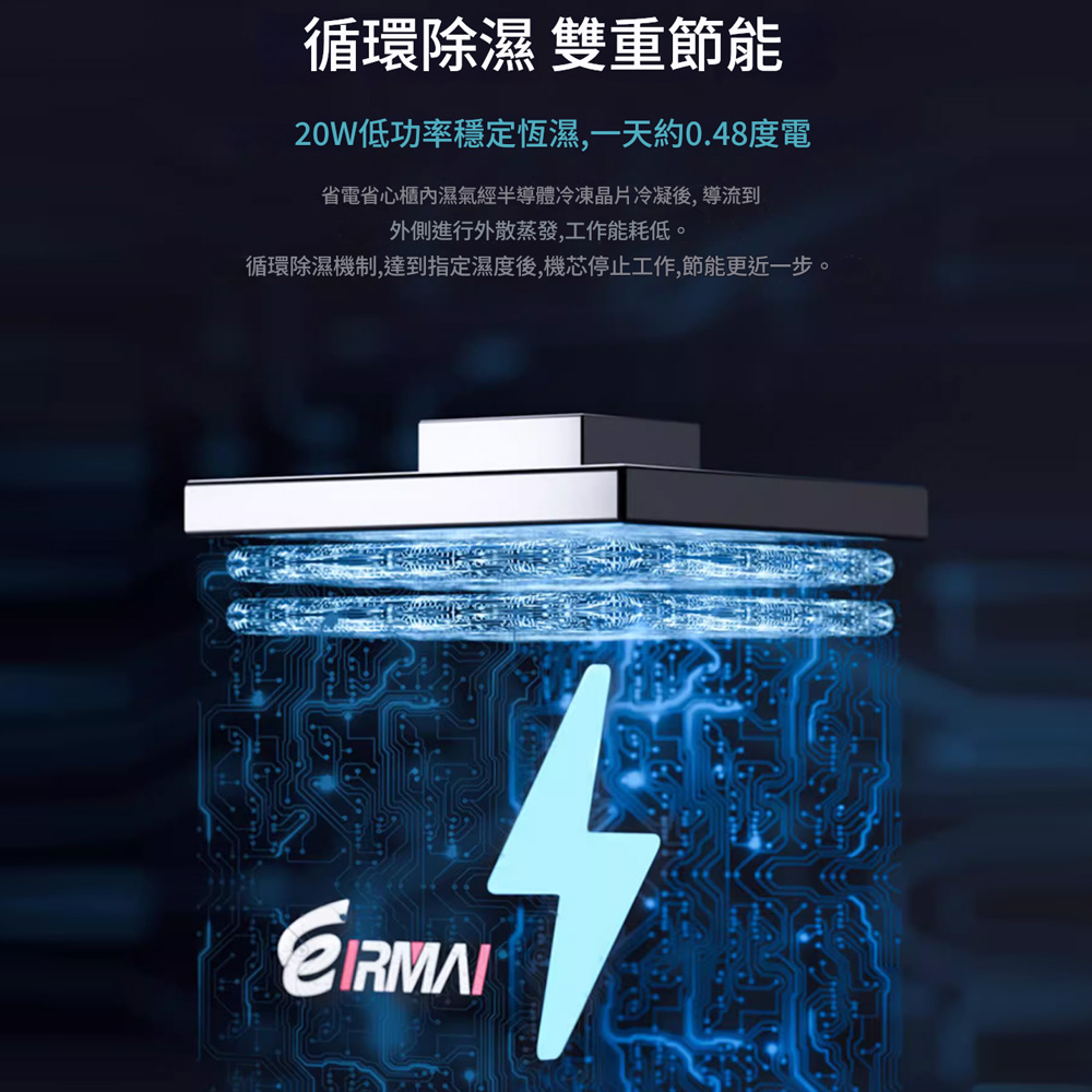 貝置物　3個　夜光貝他 貝置物 3個 夜光貝他