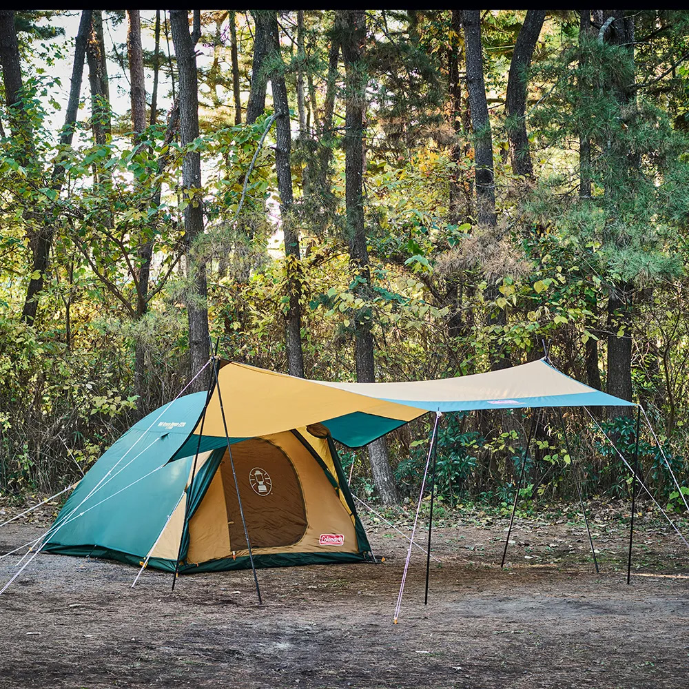 Coleman B.C. Dome テント 4人用 270×240×170cm Coleman Tent BC Cross Dome 270 Green 4-5 Person 2000038429 | eBay
