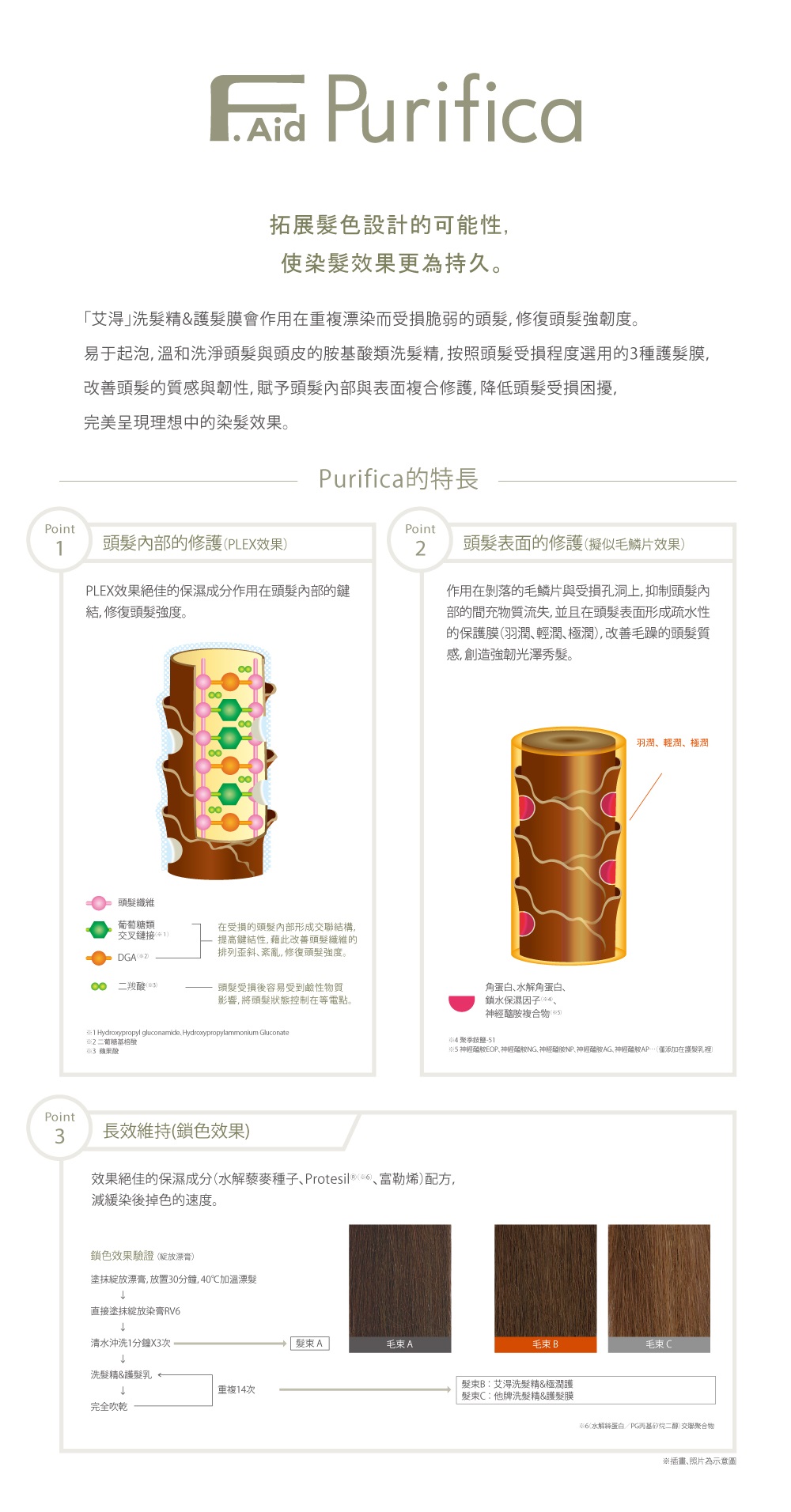 Purifica拓展髮色設計可能性使染髮效果更為持久。洗髮精&髮膜會作用在重複染而受損脆弱的頭髮修復頭髮強韌度。易于起泡溫和洗淨頭髮與頭皮的類洗髮精,按照頭髮受損程度選用的3種護髮膜,改善頭髮的質感與韌性,賦予頭髮內部與表面複合修護,降低頭髮受損困擾,完美呈現理想中的染髮效果。Purifica的特長PointPoint頭髮內部的修護PLEX效果頭髮表面的修護擬似鱗片效果PLEX效果絕佳的保濕成分作用在頭髮內部的鍵結,修復頭髮強度。作用在剝落的毛鱗片與受損孔洞上,抑制頭髮內部的間充物質流失,並且在頭髮表面形成疏水性的保護膜羽潤輕潤極潤,改善毛躁的頭髮質感,創造強韌光澤秀髮。頭髮葡萄糖類交叉)DGA(2)在受損的頭髮內部形成交聯結構,提高鍵結性,藉此改善頭髮纖維的排列歪斜紊亂,修復頭髮強度。羧酸()頭髮受損後容易受到鹼性物質影響,將頭髮狀態控制在等電點。1 Hydroxypropyl gluconamide, Hydroxypropylammonium Gluconate2二基酸 蘋果酸Point3長效維持(鎖色效果)蛋白水解角蛋白鎖水保濕因子()、神經複合物()羽潤、輕潤、極潤 聚鹽-51 神經胺EOP、神經醯胺、神經醯胺NP、神經醯胺AG、神經醯胺AP…(添加在護髮乳裡效果絕佳的保濕成分(水解藜麥種子、Protesi®()、富勒烯)配方,減緩染後掉色的速度。鎖色效果驗證(膏)塗抹綻放膏,放置3分鐘40℃加溫漂髮直接塗抹綻放染膏RV6清水沖洗1分鐘X3次,洗髮精&護髮乳重複14次完全吹乾髮A毛A毛 B毛髮束B艾洗髮精&極潤護髮束C他牌洗髮精&護髮膜06(水解絲蛋白/PG丙基矽烷二醇 交聯聚合物※插畫照片為示意圖